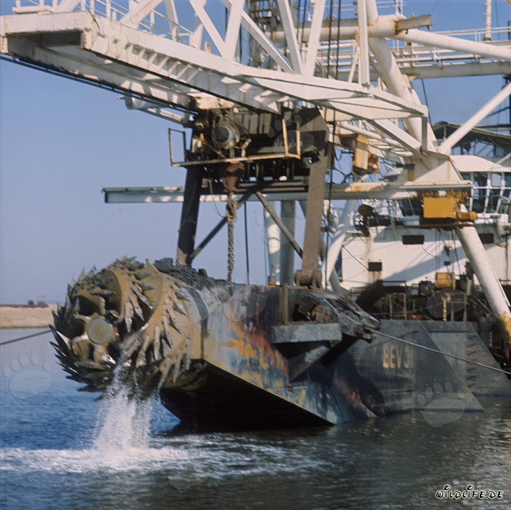 Draga de succión con cabezal de corte Beverwijk 31 en el puerto de Richards Bay