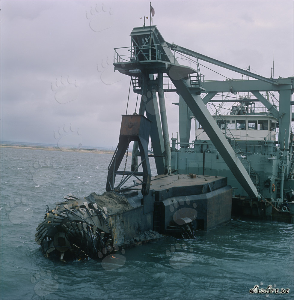Impressive Cutter Suction Dredger at Richards Bay Harbor Construction