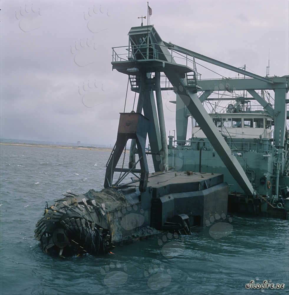 Draga excavadora con cabezal cortador impresionante en la construcción del puerto de Richards Bay