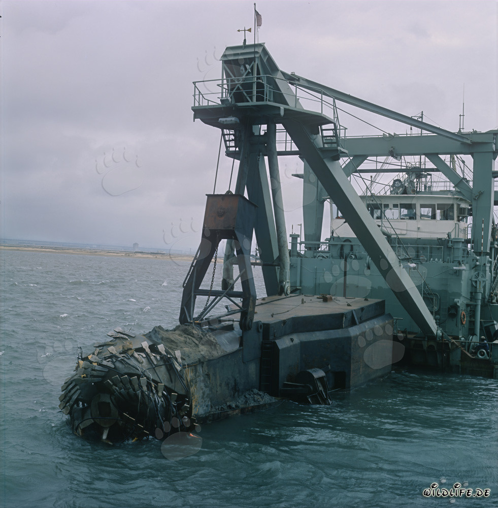 Dragueur suceur à tête de coupe imposant lors de la construction du port de Richards Bay