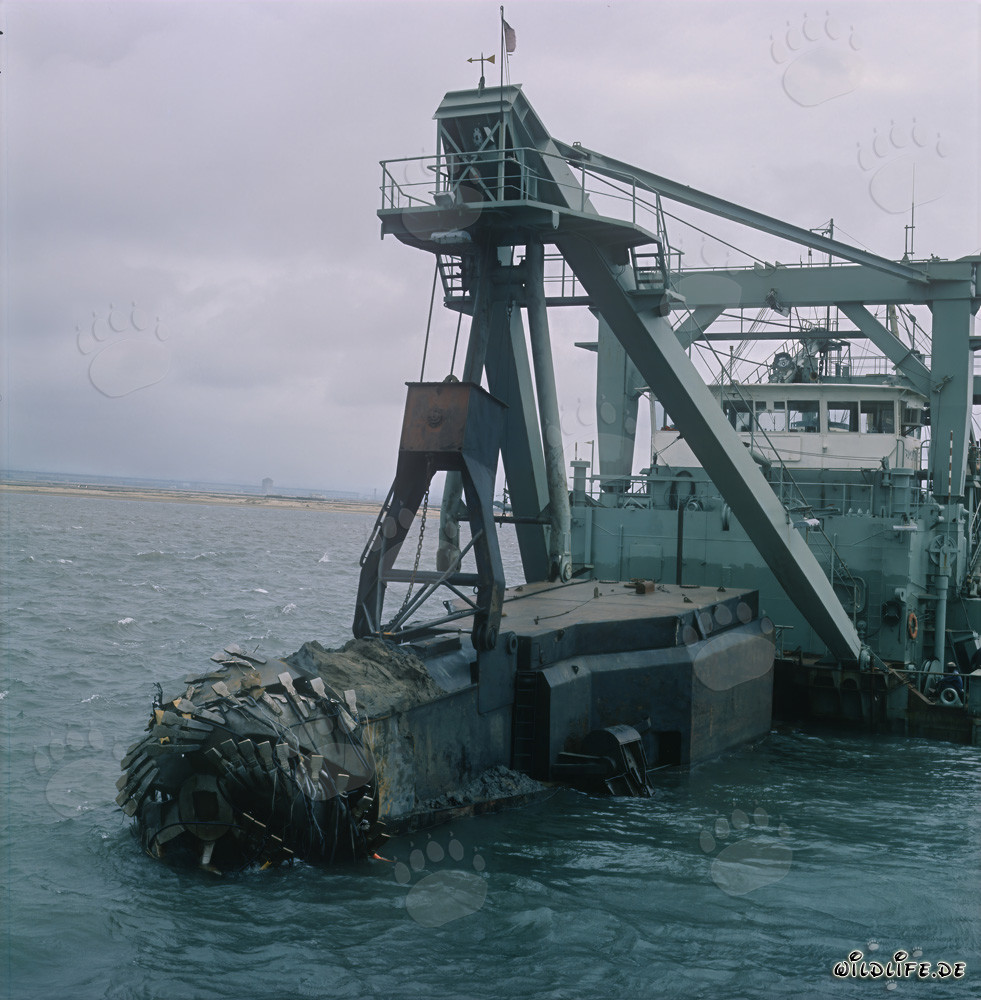 Imposanter Schneidkopfspuelbagger beim Bau des Richards Bay Hafens