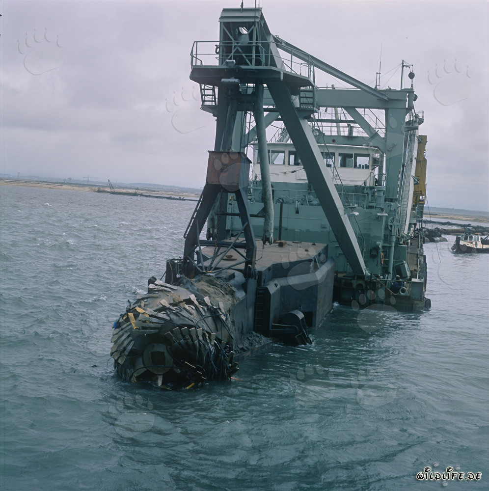 Cutter head during dredging operations in Richards Bay Harbour