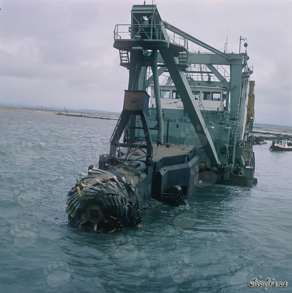 Draga cortadora de succión en trabajos de dragado en el puerto de Richards Bay