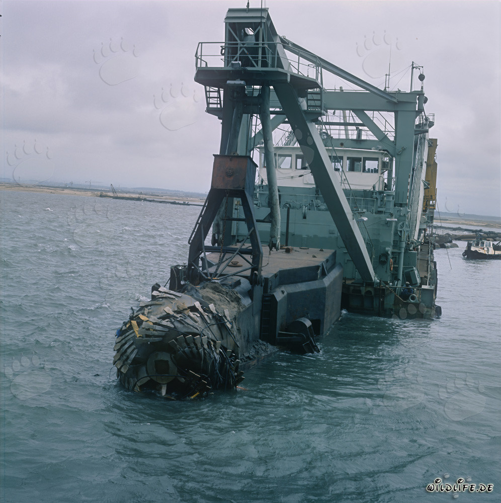 Drague suceuse à tête de coupe lors de travaux de dragage à Richards Bay Harbour