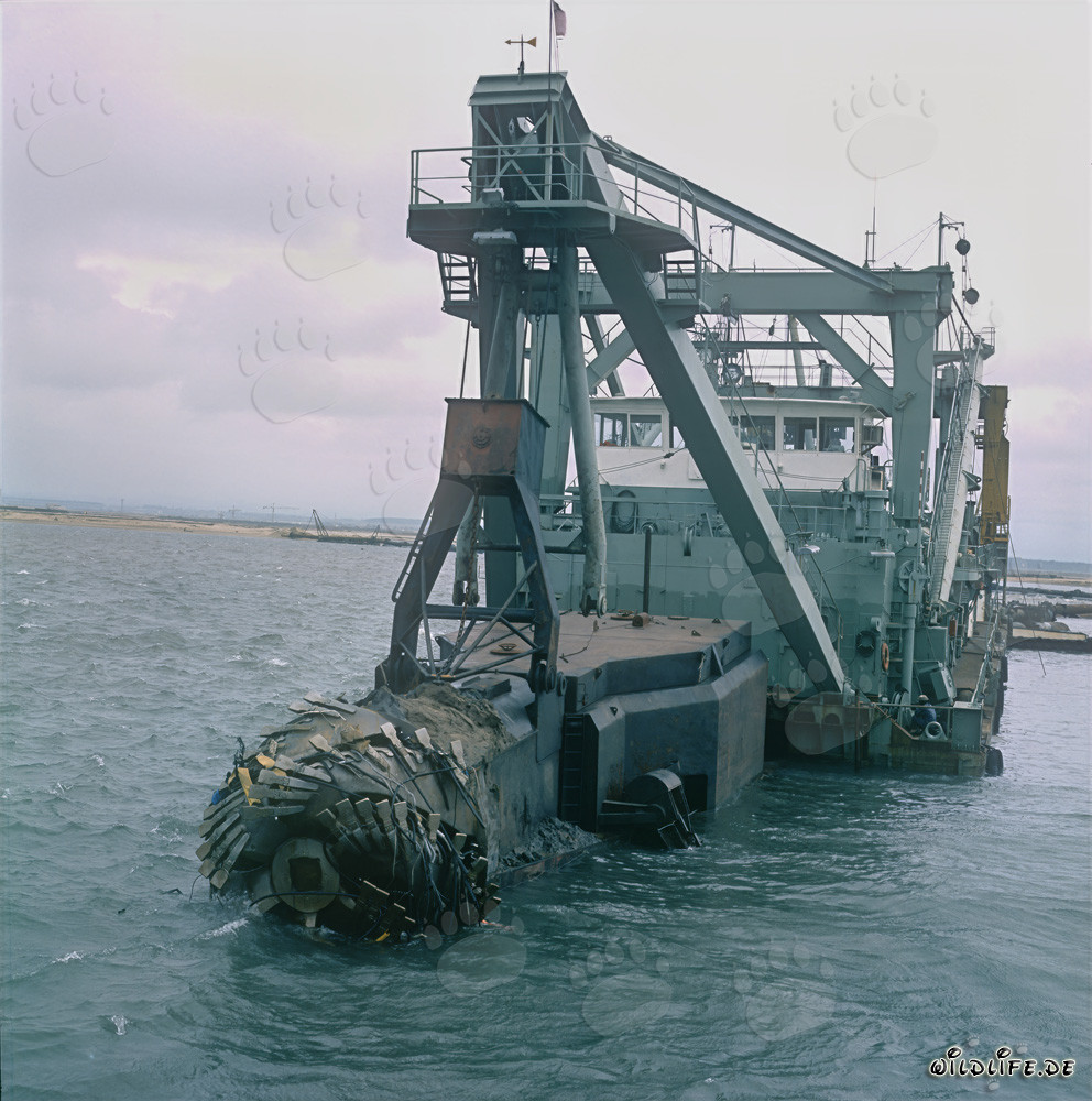 Cutter-suction dredger Tramontane in Richards Bay Harbour