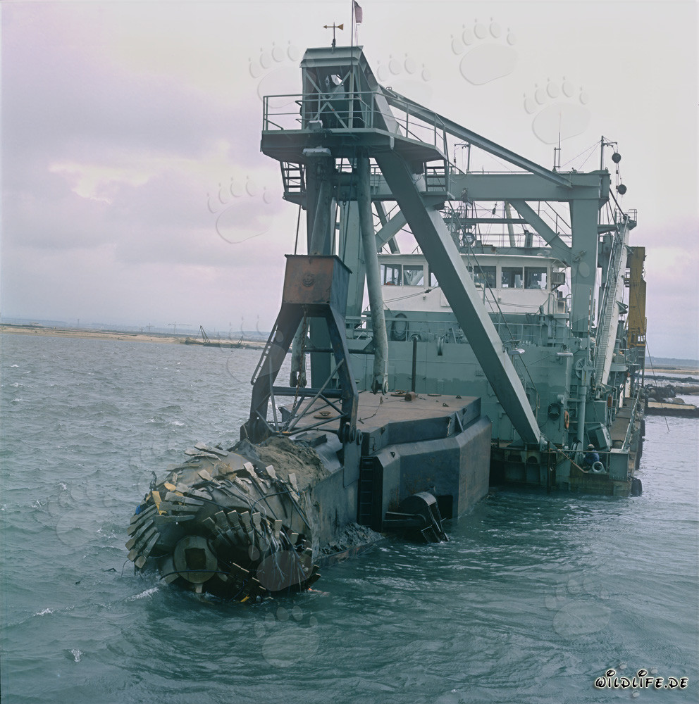 Draga de succión con cabezal cortador Tramontane en el puerto de Richards Bay