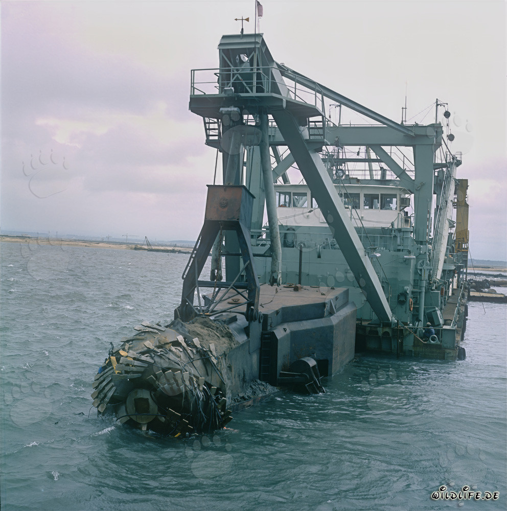 Drague suceuse à tête de coupe Tramontane dans le port de Richards Bay