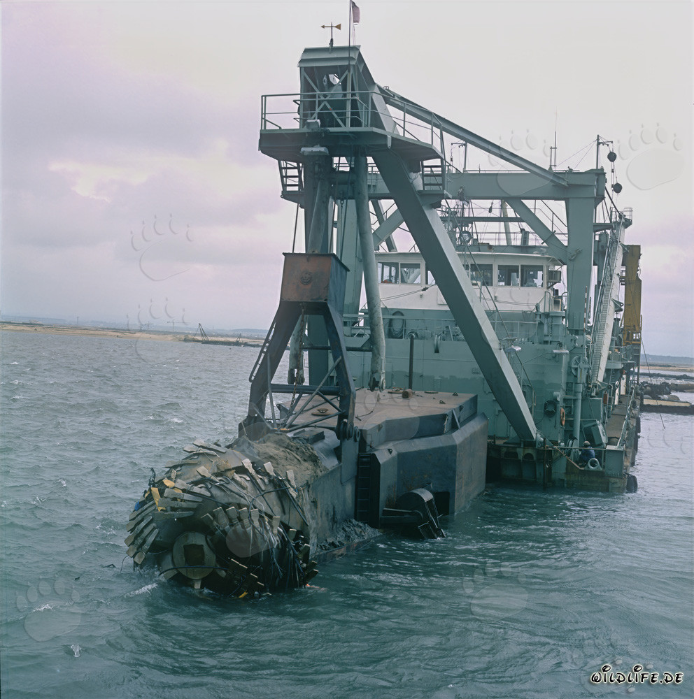 Schneidkopfspülbagger Tramontane im Hafen Richards Bay