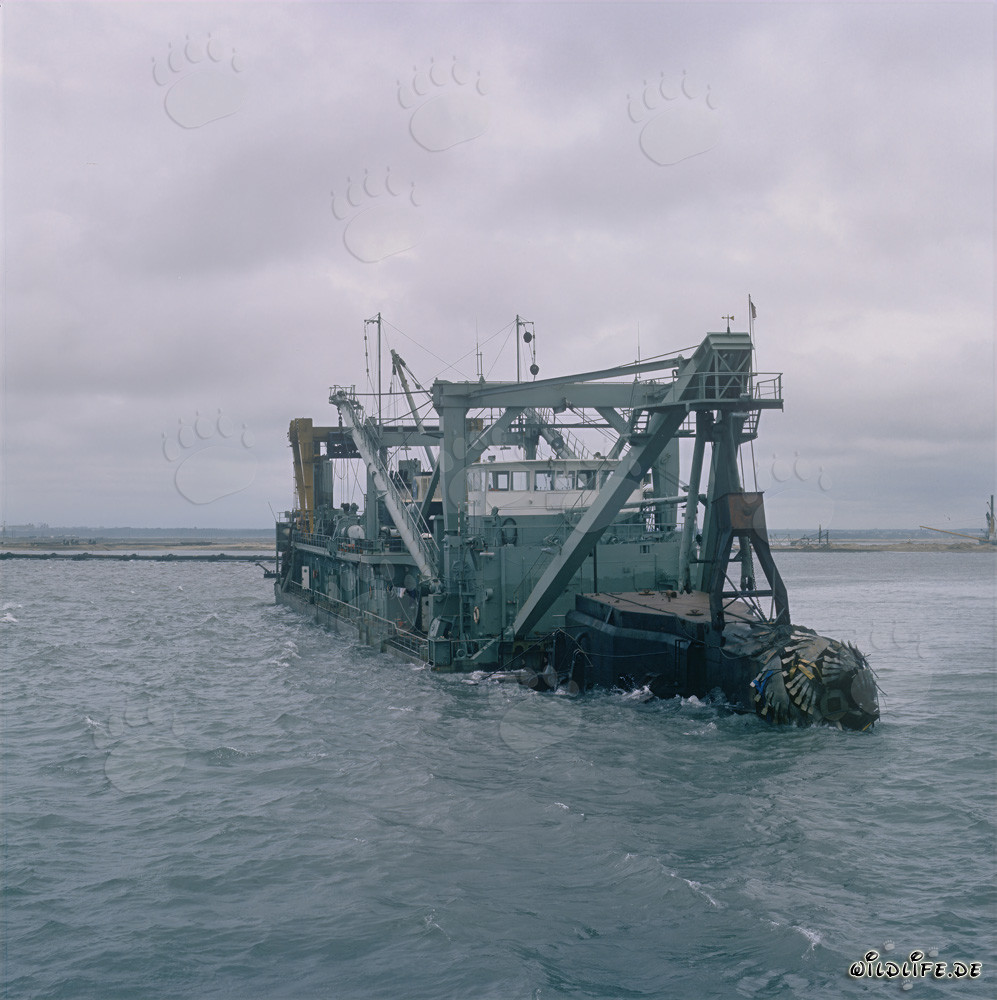 Cabeza de corte - Dragalina de cabeza de corte Tramontane en acción en el puerto de Richards Bay, Sudáfrica