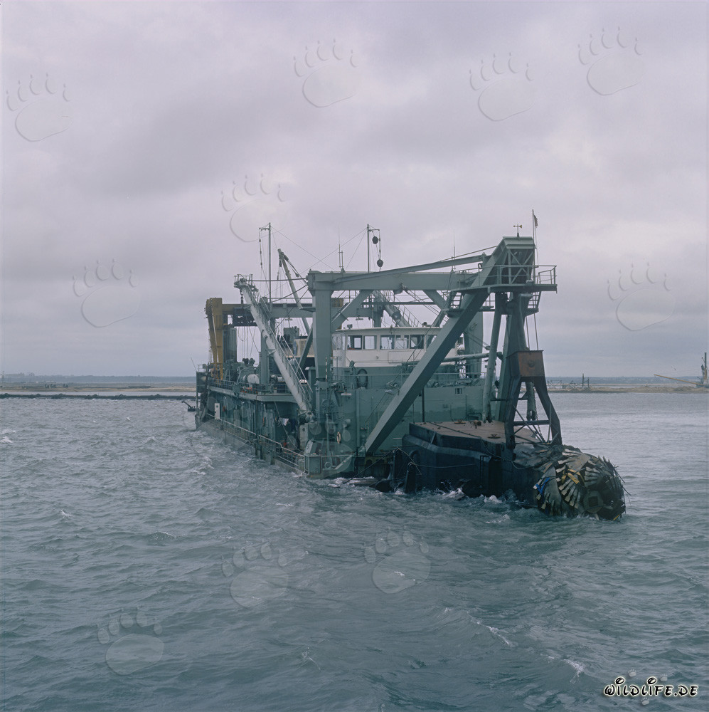 Cutter head - Cutter-suction dredger Tramontane in action at Richards Bay Harbour, South Africa