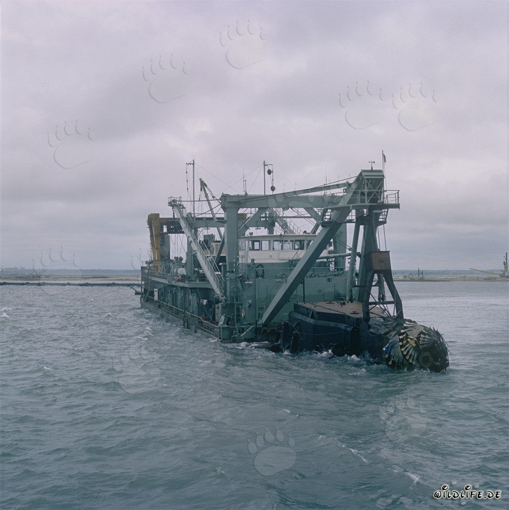 Schneidkopf - Schneidkopfspülbagger Tramontane in Aktion im Hafen von Richards Bay, Südafrika
