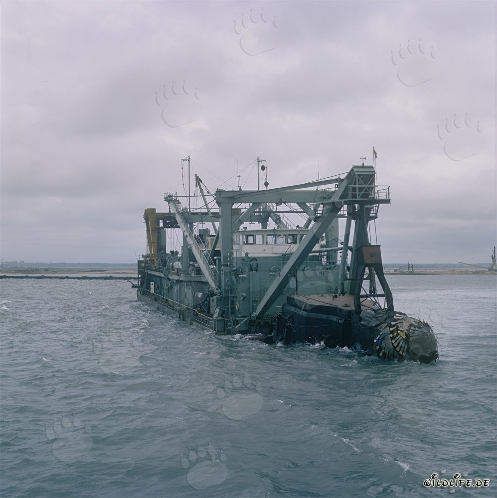 Tête de coupe - Drague suceuse à tête de coupe Tramontane en action dans le port de Richards Bay, Afrique du Sud