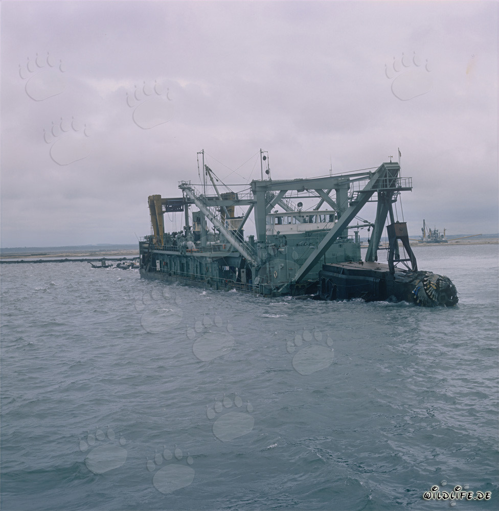Cutter head of the Cutter-suction dredger Tramontane in action