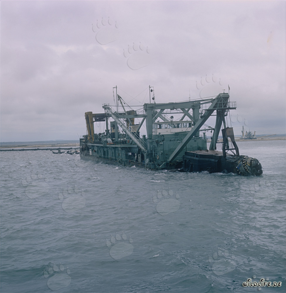 Tête de coupe de la drague suceuse Tramontane en action