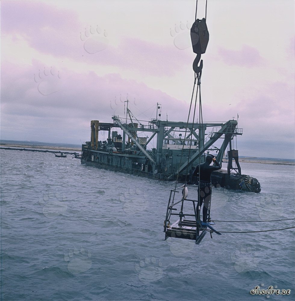 Tauchereinsatz am Cutter-Suction-Bagger Tramontane in Richards Bay Hafen