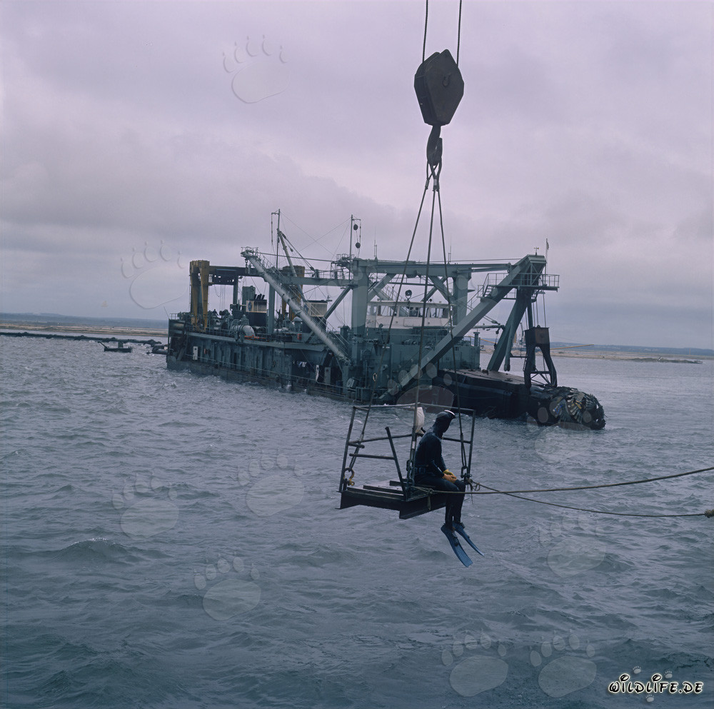 Misión de buceo espectacular en el dragaminas de succión de cucharas Tramontane en Richards Bay