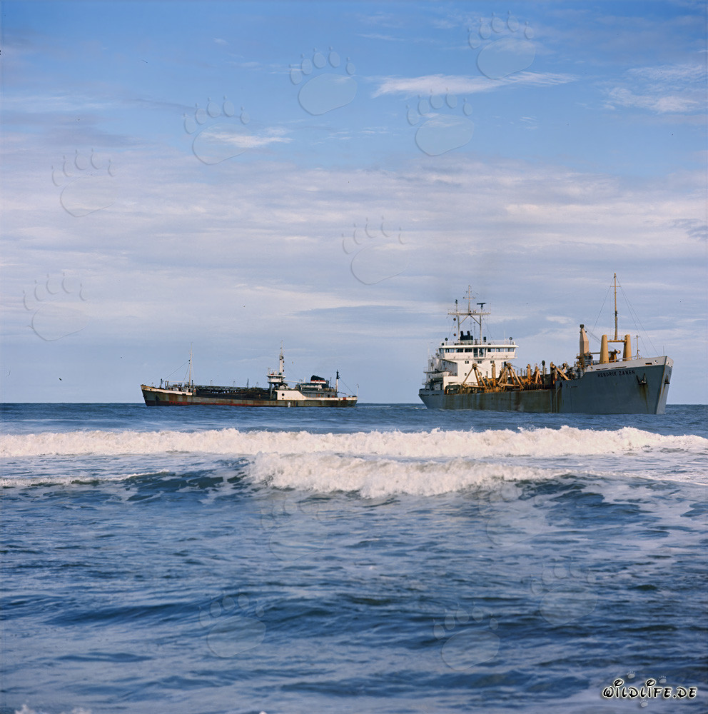 Trailing Suction Hopper Dredger GEOPOTES X and HENDRIK ZANEN in Richards Bay Harbour South Africa