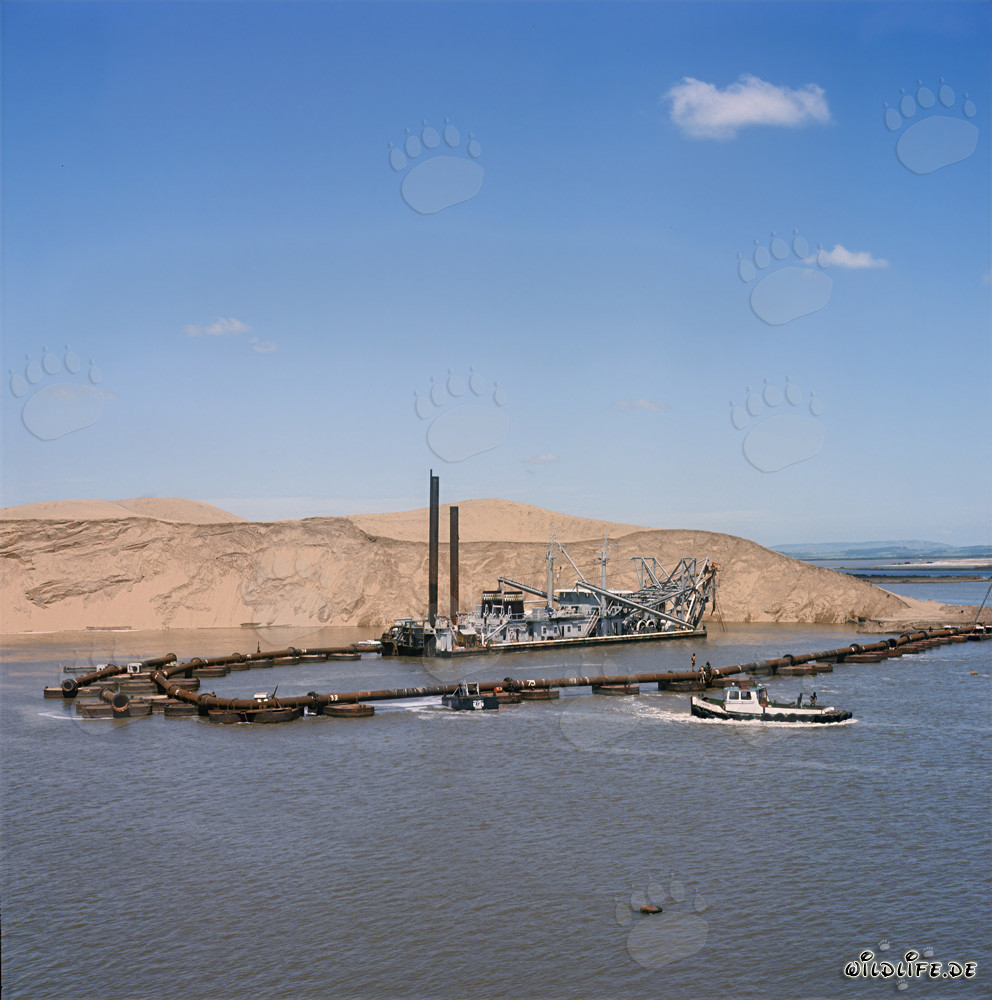 Drague suceuse de tête de coupe au coucher du soleil devant une dune à Richards Bay, Afrique du Sud