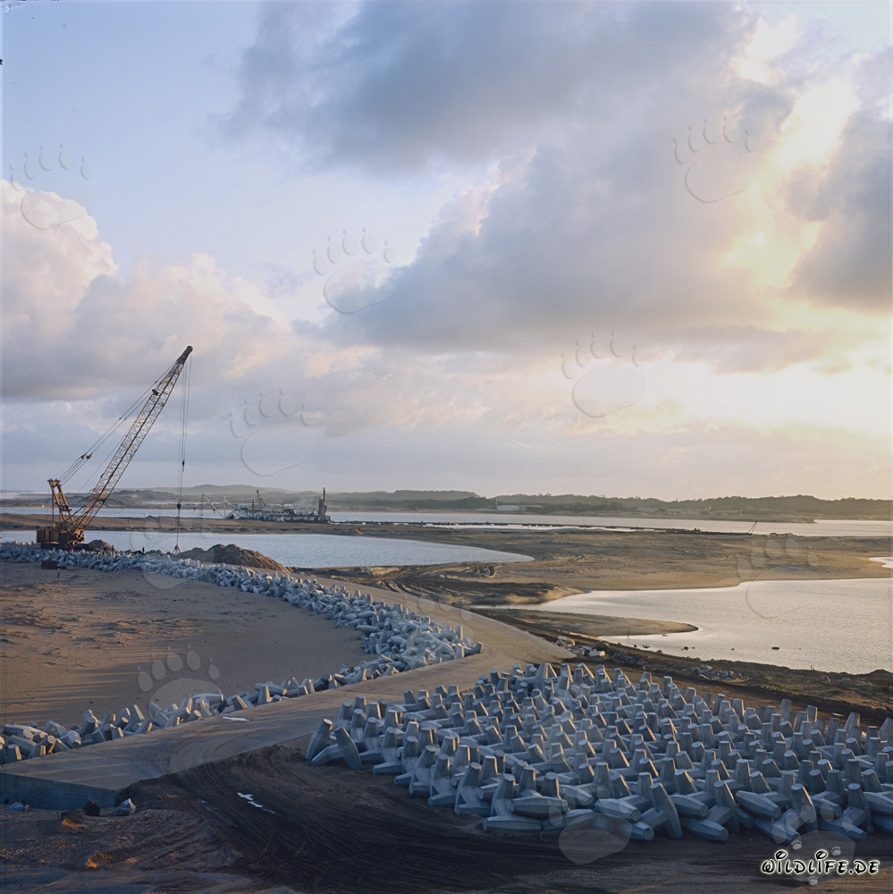 Herstellung und Lagerung von Dolossen am North Headland Hafen