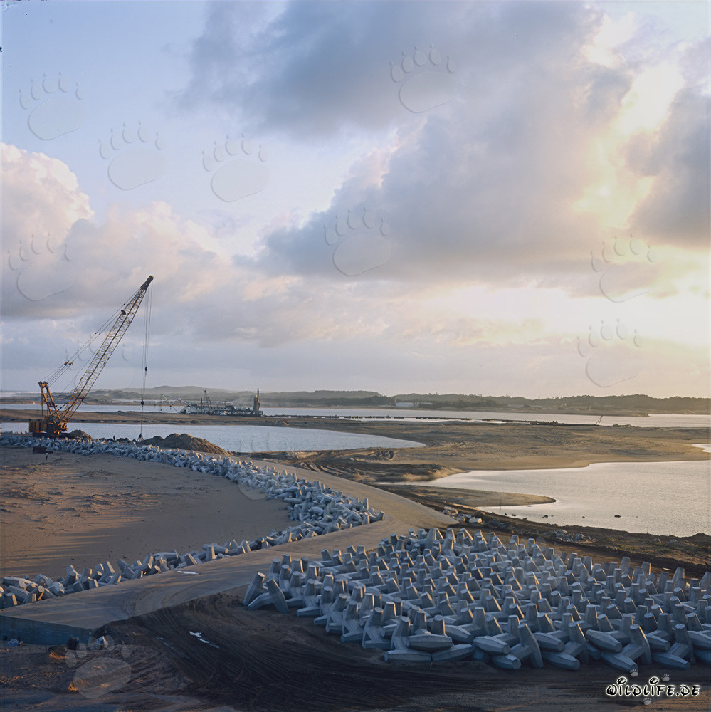 Manufacturing and Storage of Dolosse at North Headland Harbour